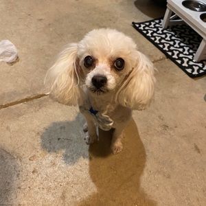 Meet your Posher, Jonathan